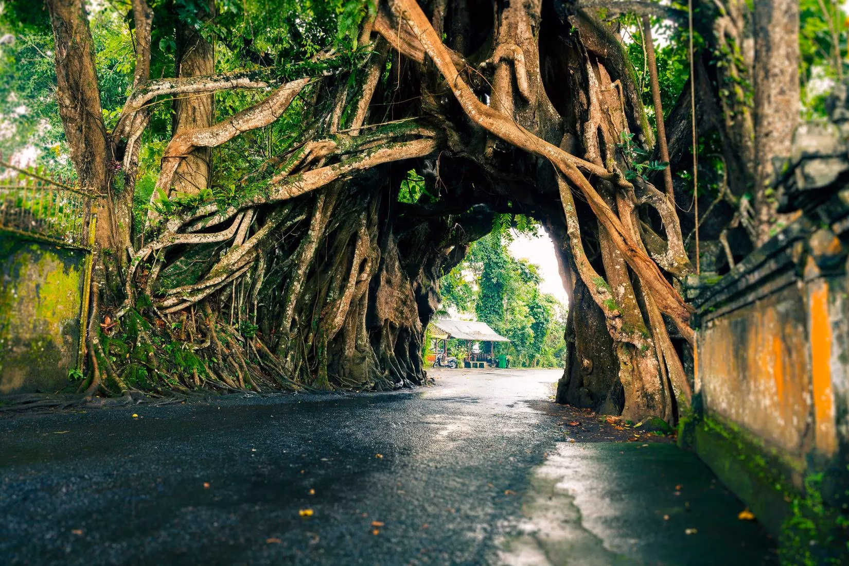 bali-s-billion-dollar-dream-southeast-asia-s-first-paramount-theme-park-image-1