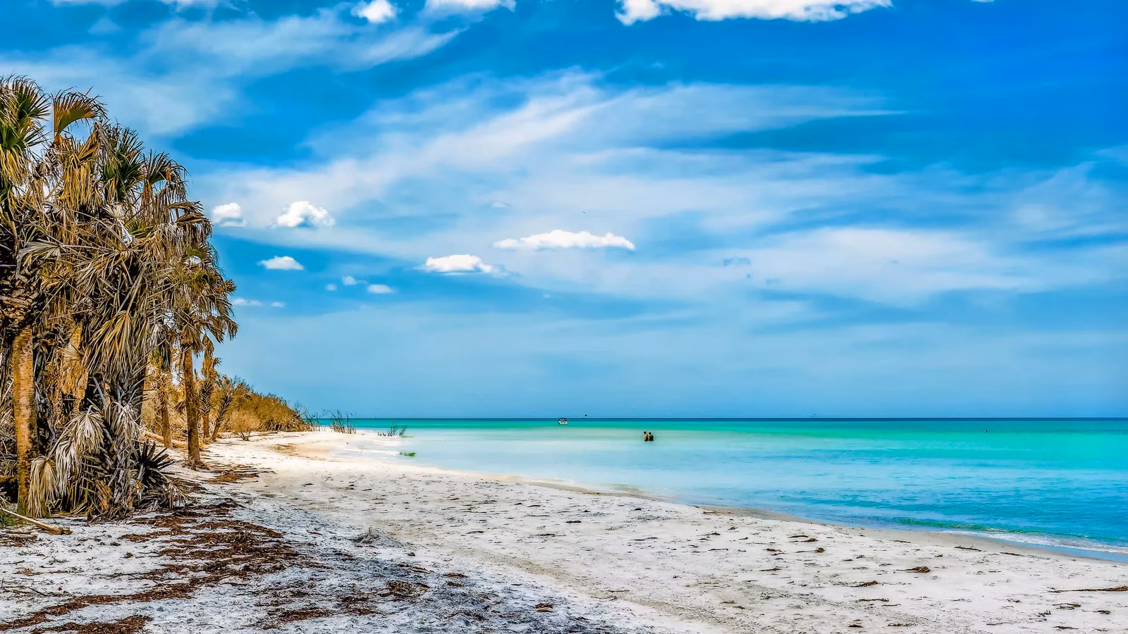 caladesi-island-florida-s-untouched-coastal-paradise-where-time-stands-still-image-0