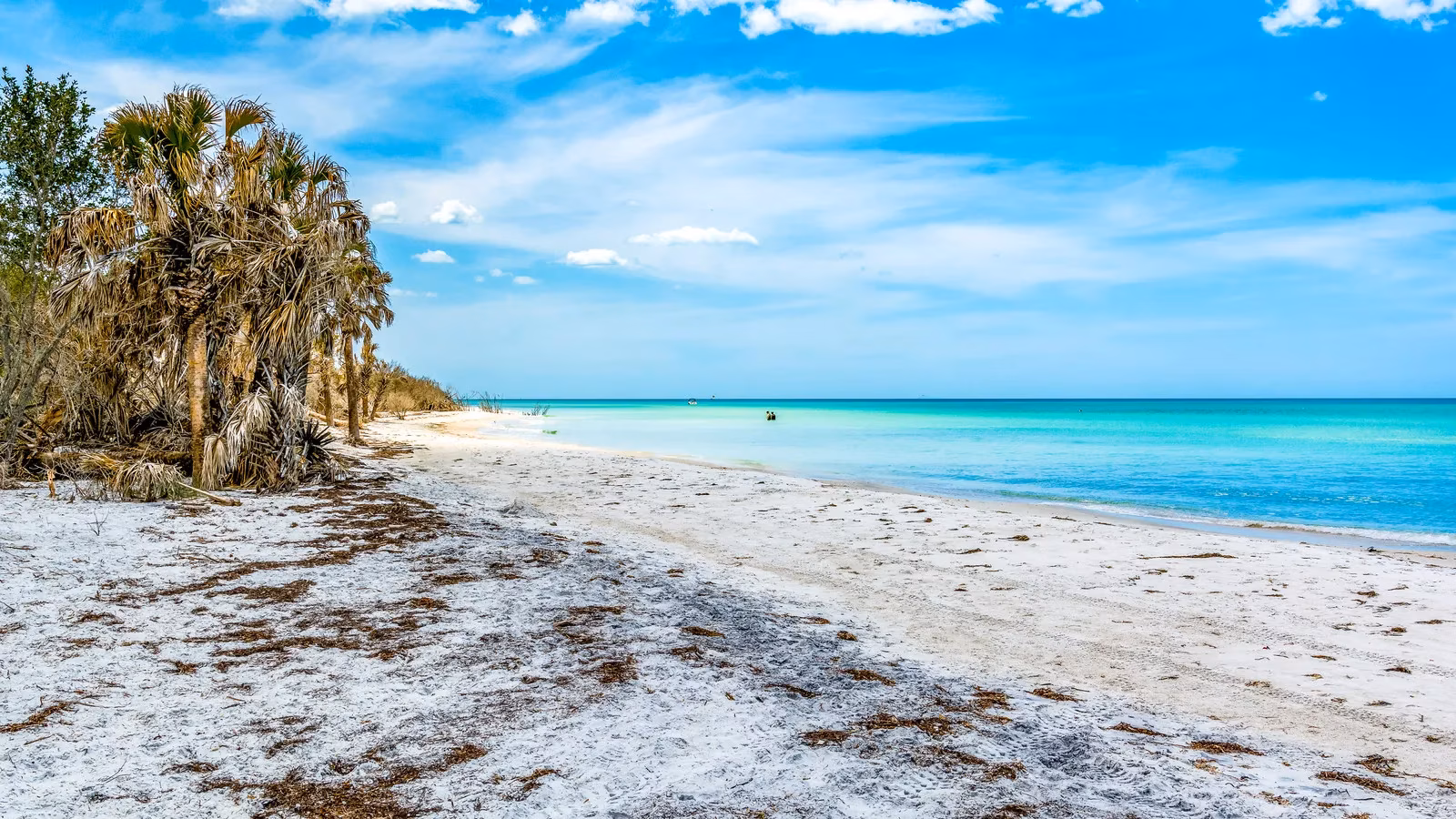 caladesi-island-my-secret-slice-of-paradise-on-florida-s-gulf-coast-image-0