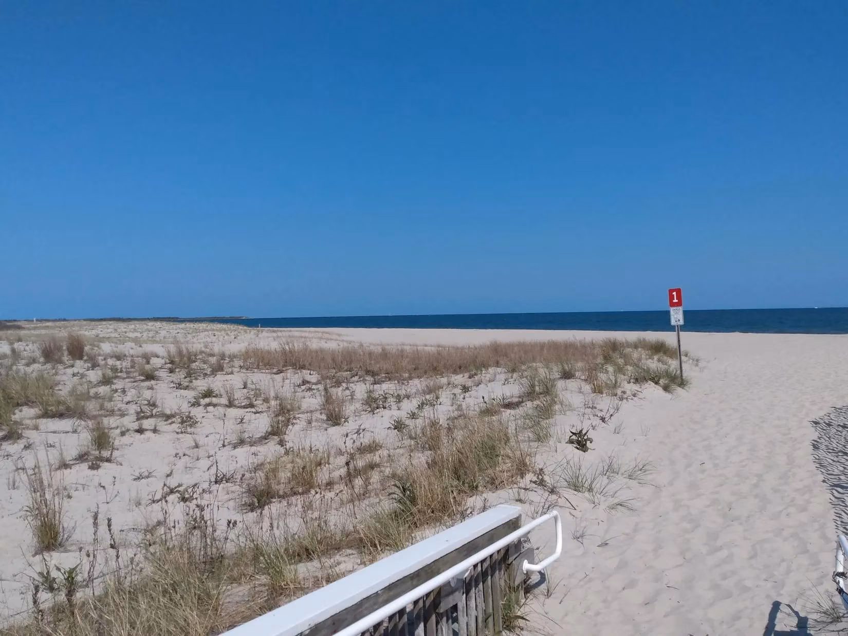 cape-may-the-hamptons-alternative-just-2-5-hours-from-nyc-steals-the-show-in-2026-image-2