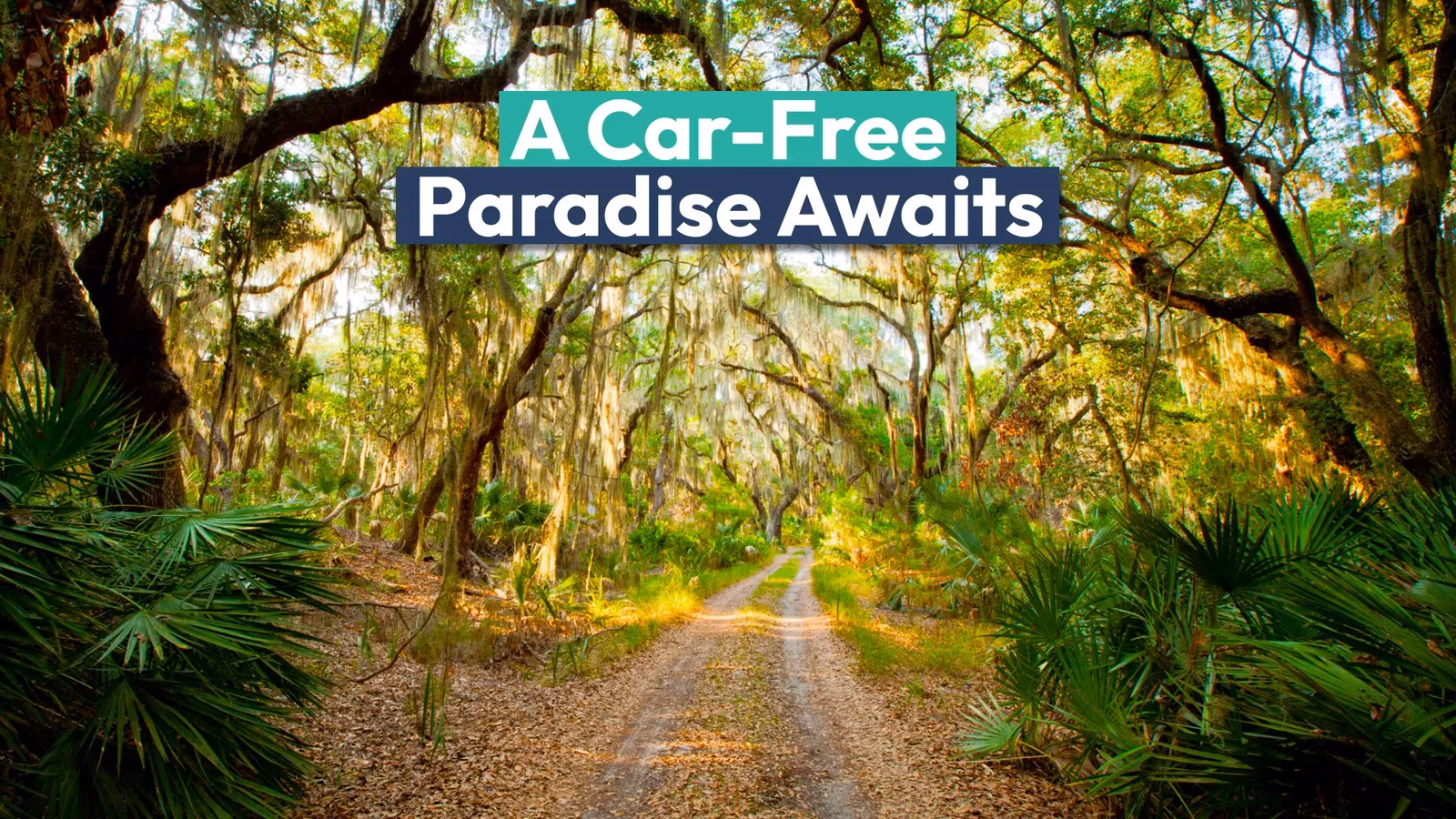 forget-florida-little-st-simons-is-georgias-most-underrated-island-for-a-digital-detox-in-2026-image-0