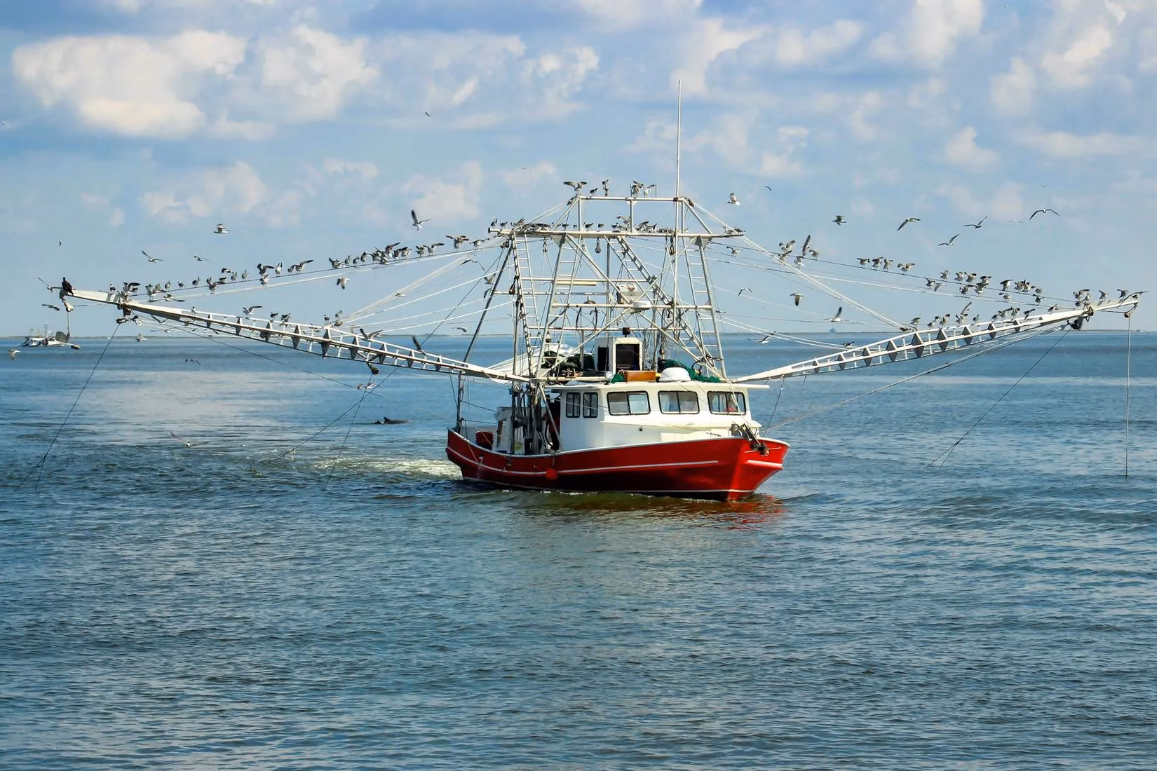 grand-isle-louisiana-s-unrivaled-underrated-paradise-for-nature-birds-and-bliss-image-1