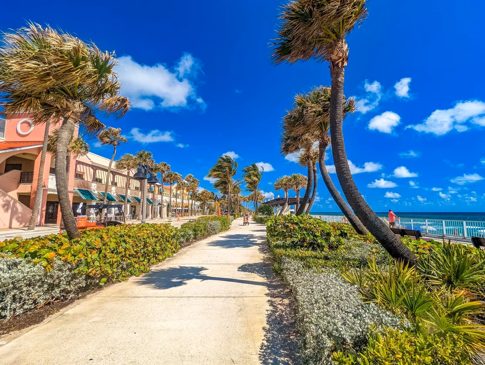 lake-worth-beach-florida-s-bohemian-seaside-sanctuary-image-1