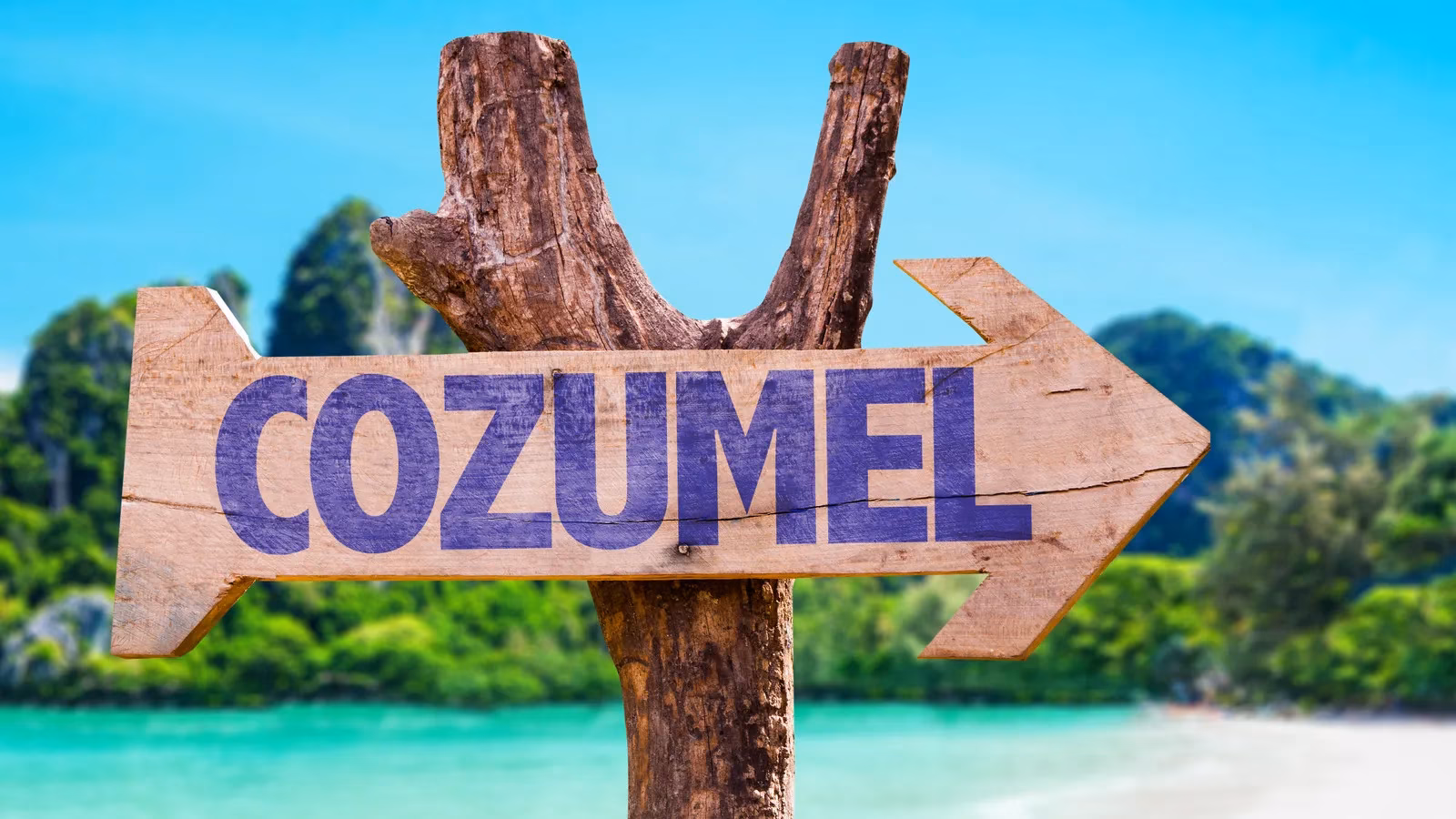 mexico-s-sargassum-fight-my-2026-beach-vacation-guide-why-i-m-still-booking-image-0