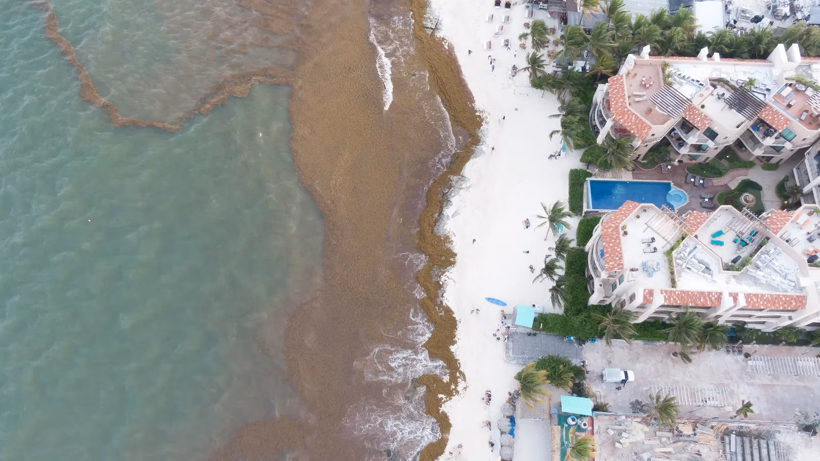 mexicos-spring-break-fix-it-frenzy-tackling-taxi-sharks-eroding-beaches-and-grumpy-customs-agents-image-0