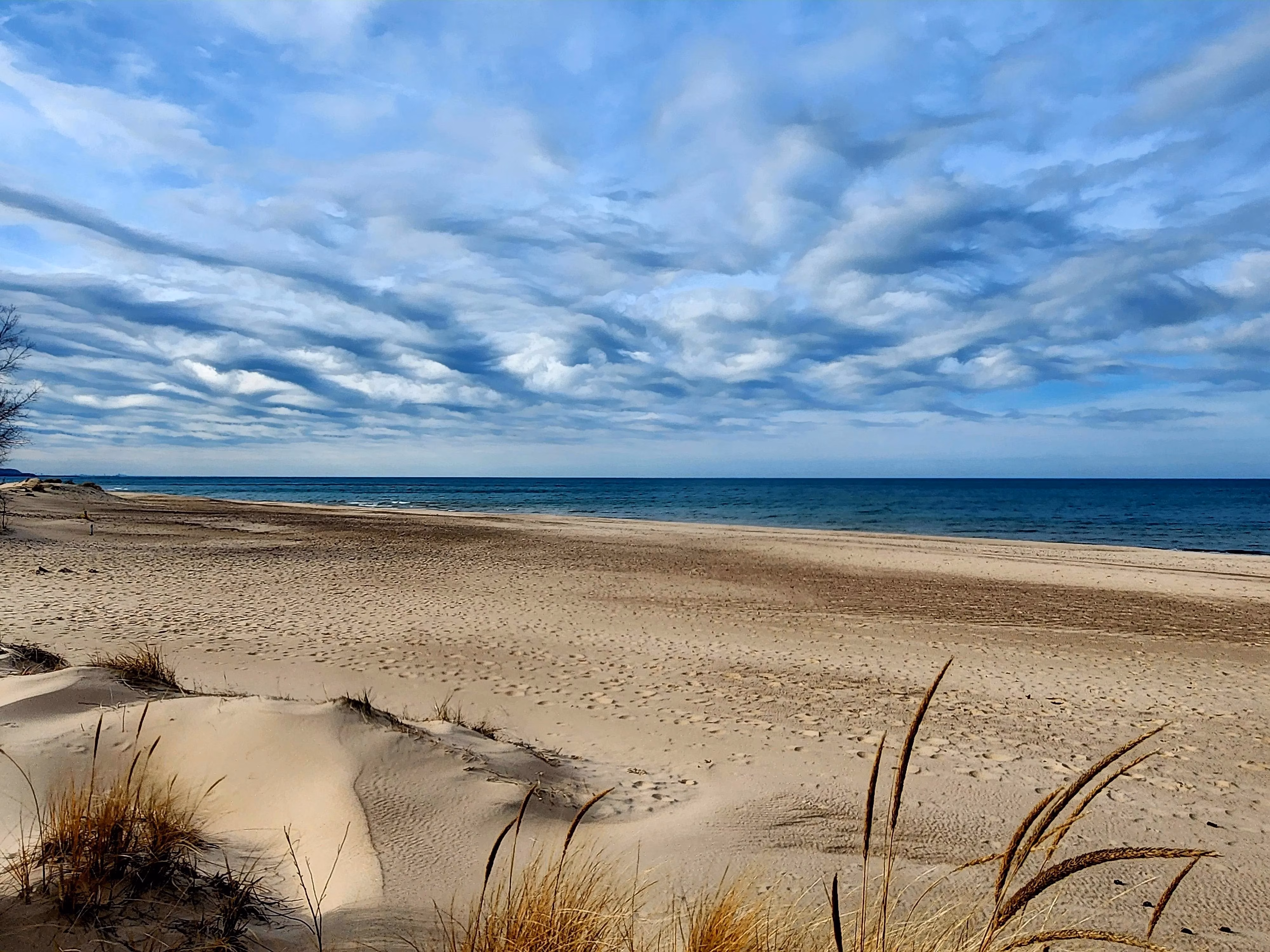 midwest-s-hidden-seaside-paradise-indiana-dunes-national-park-image-0