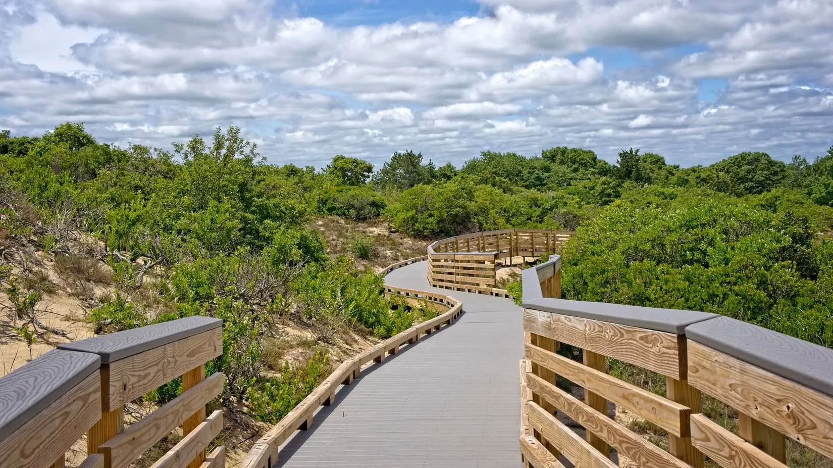 my-peaceful-escape-to-plum-island-why-this-massachusetts-haven-outshines-florida-s-beaches-image-2