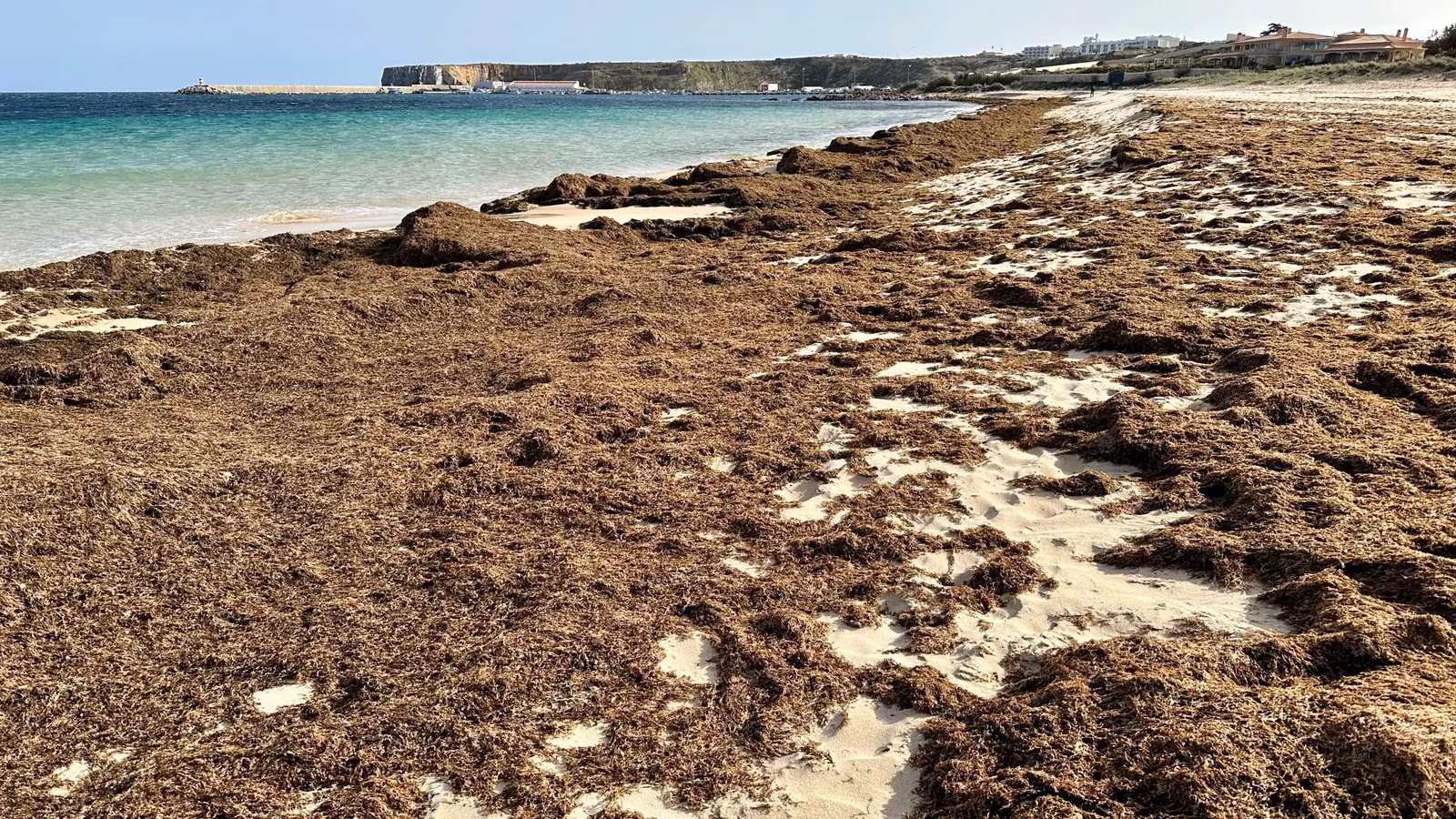 spain-s-beaches-are-now-brown-and-it-s-not-the-sangria-s-fault-image-0