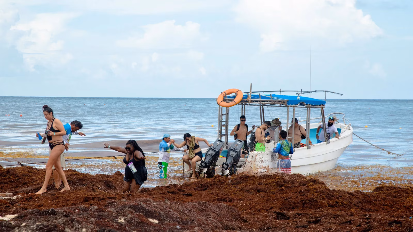tulum-s-2025-boom-new-airport-mayan-train-and-the-battle-against-seaweed-and-jellyfish-image-0